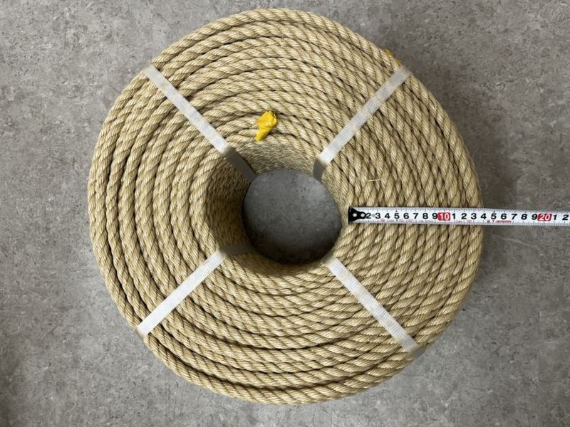 ������������ס�12�С�200��