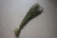 ���Ĥ�顦�¤Ȥ餺��HS�����ס�