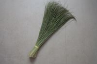 ���Ĥ�顦�¤Ȥ餺��H�����ס�