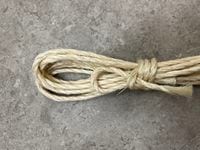 ����������Ҥ�