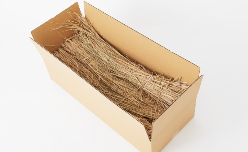 �񻺤�顡���ˣ�����