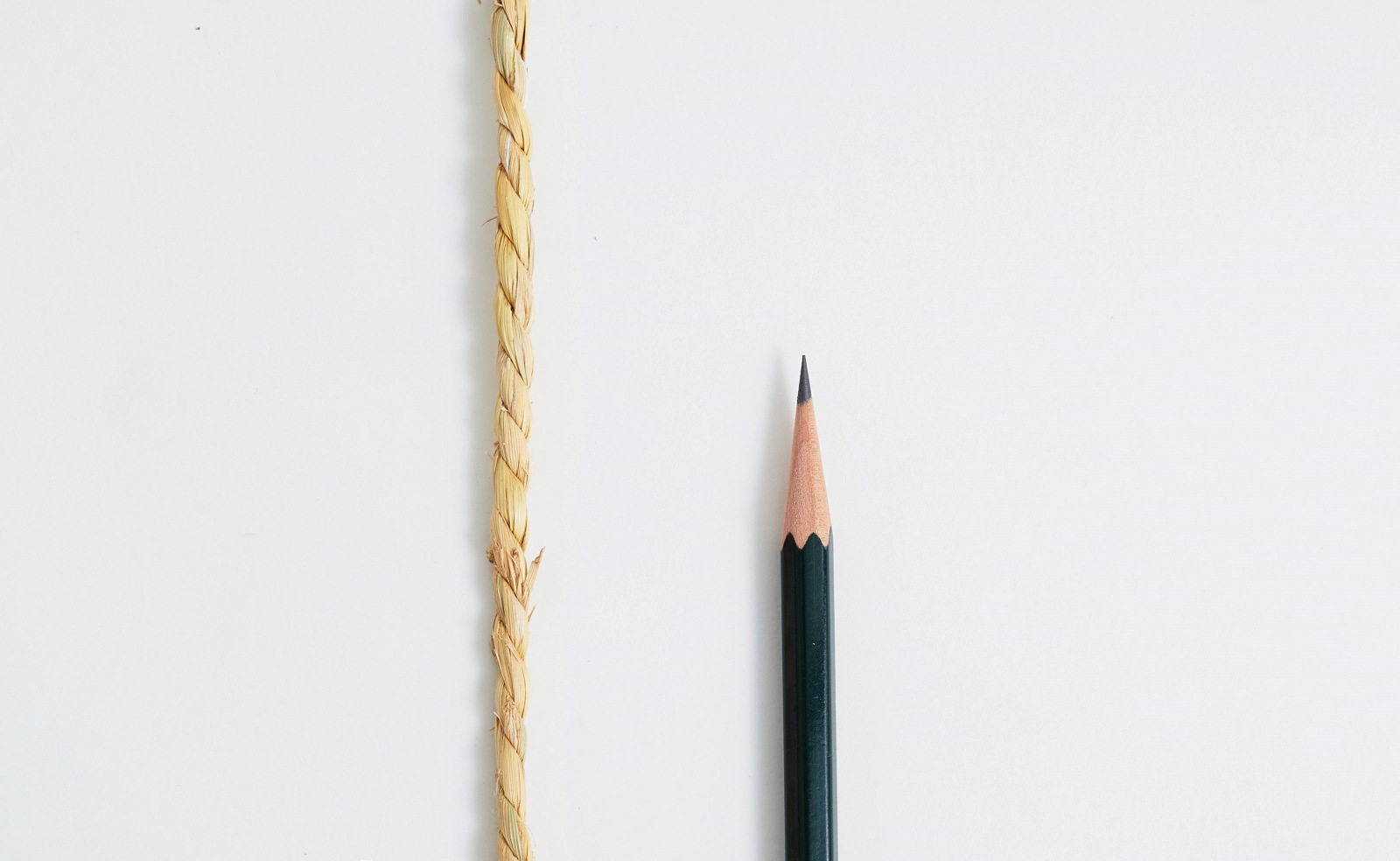 ����졡��ʬ����񻺡ˡ���5mm