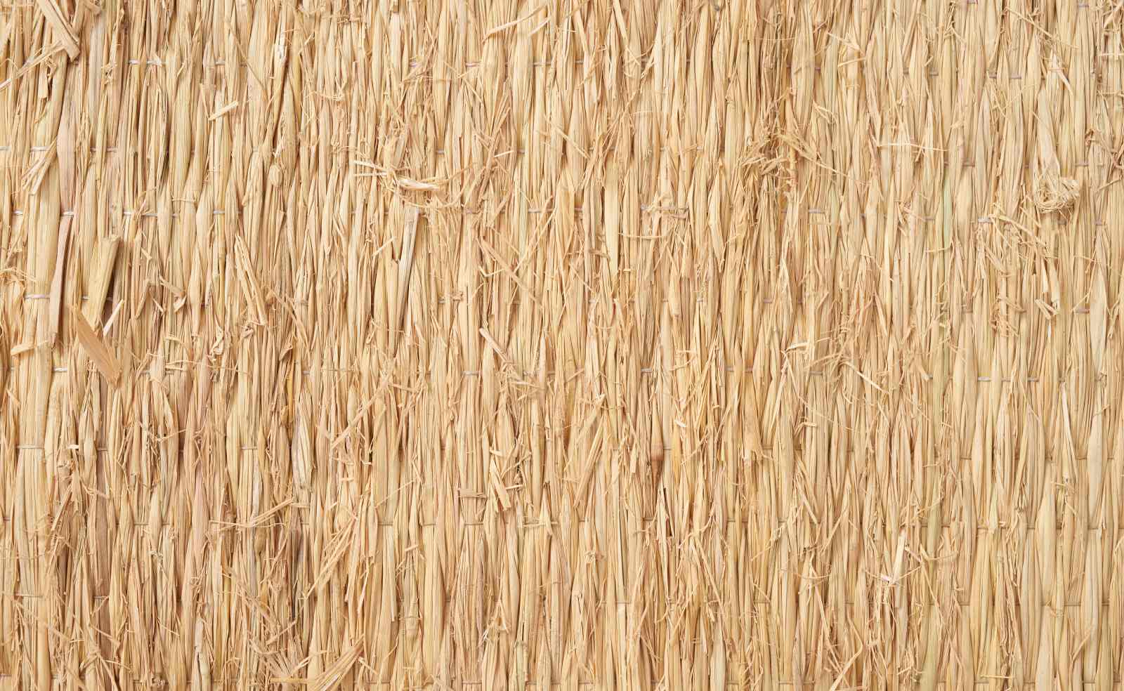 �񻺤ष����Ķ����������