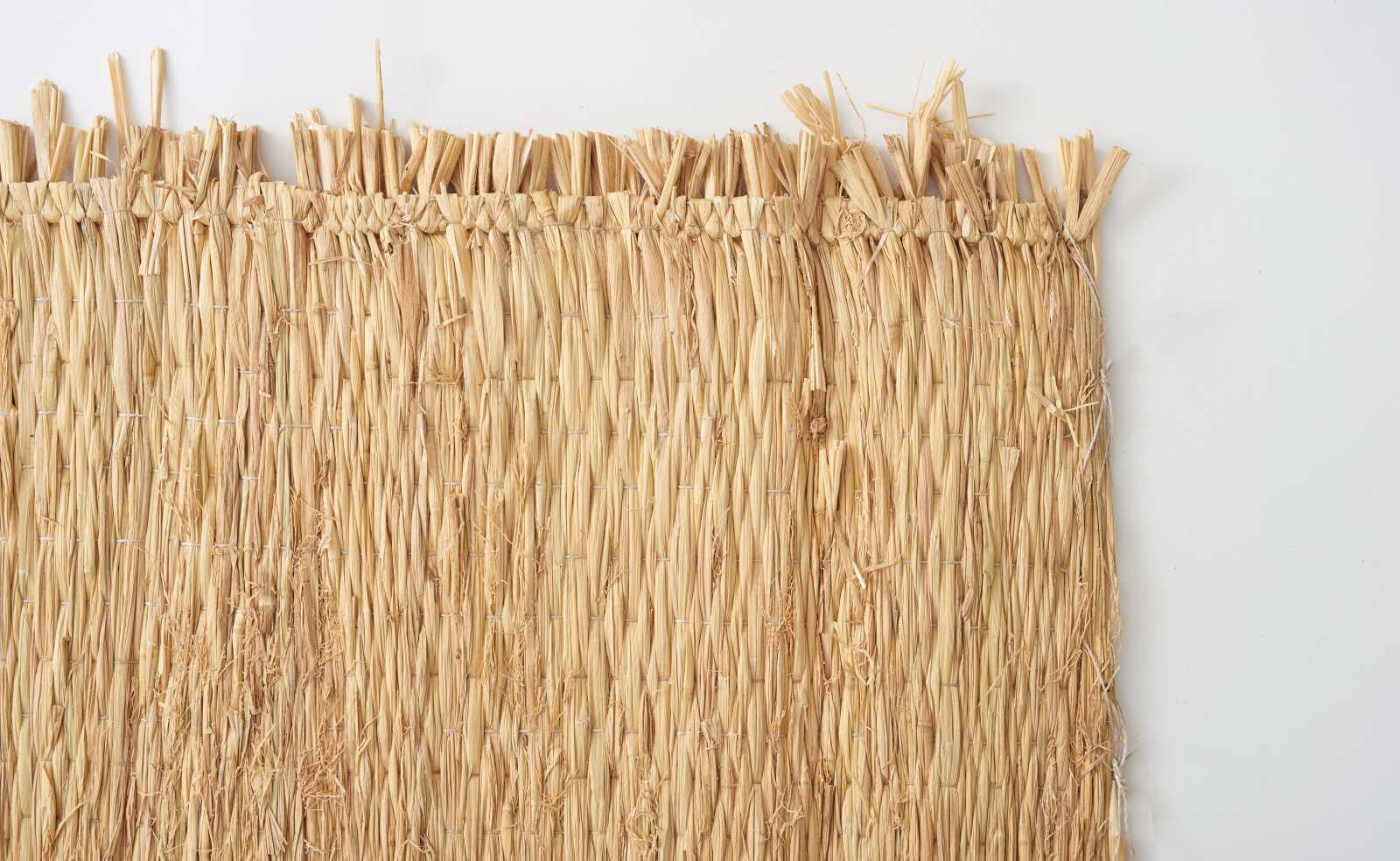 �񻺤ष����Ķ����������