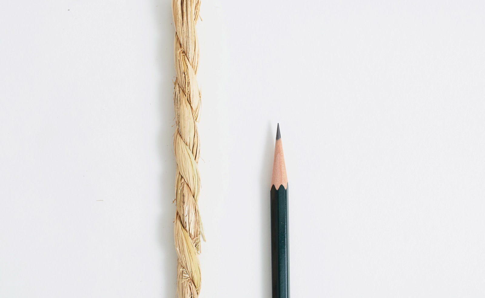 �񻺤���졡��ʬ���ҡ���8mm