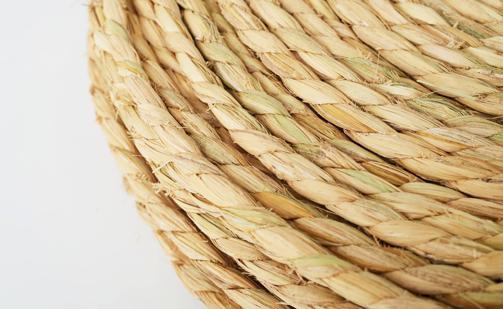 �񻺤���졡��ʬ���ҡ���8mm