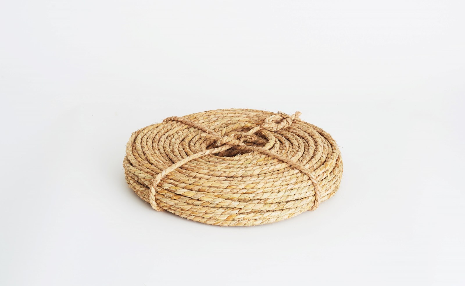 �񻺤���졡��ʬ����10mm