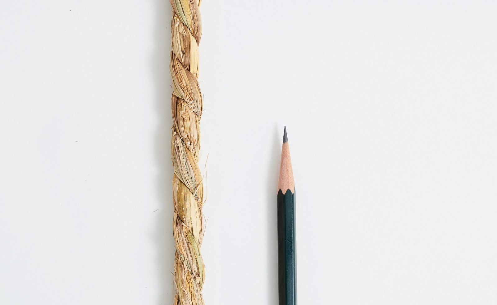 �񻺤���졡��ʬ����10mm