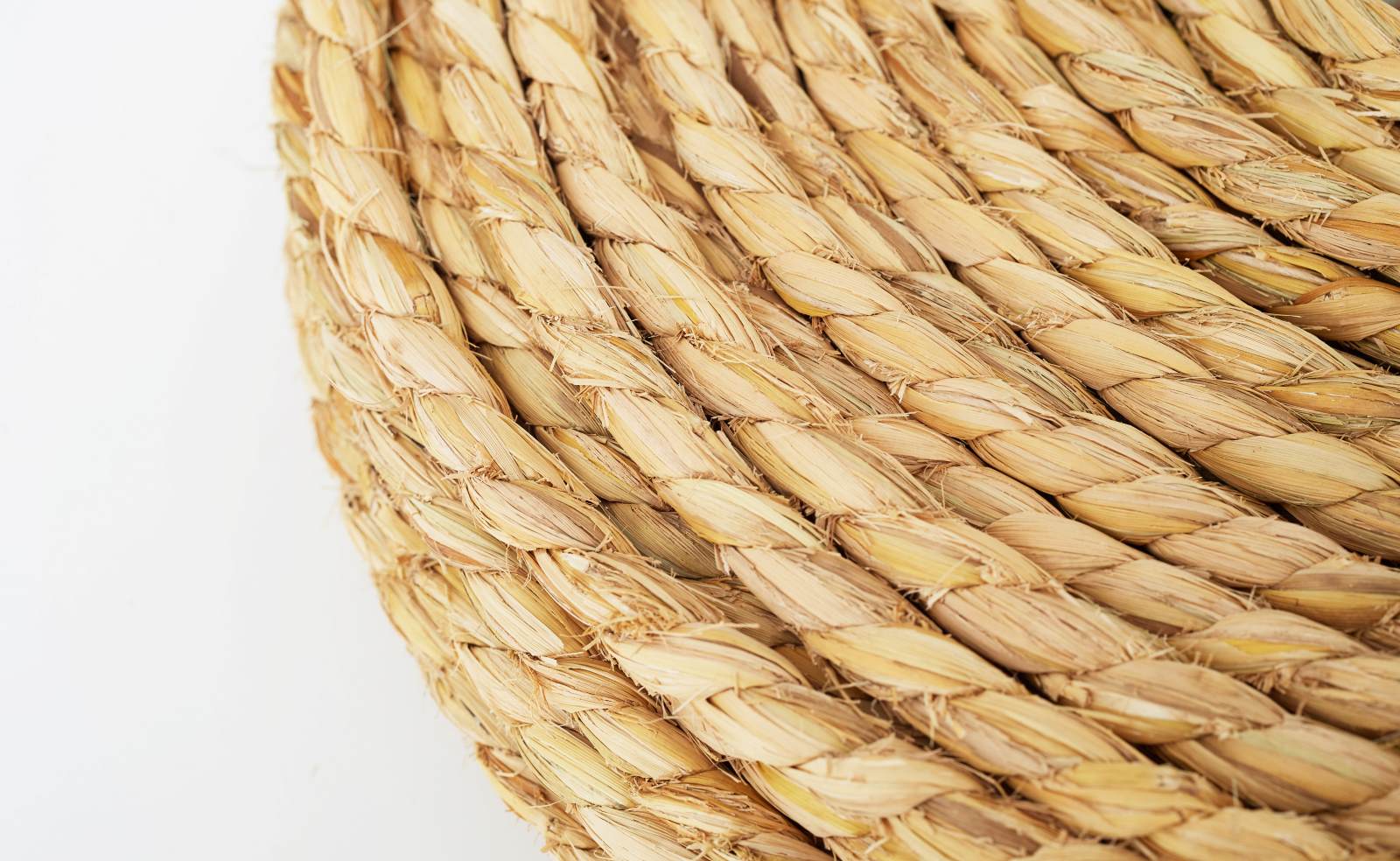 �񻺤���졡��ʬ����10mm