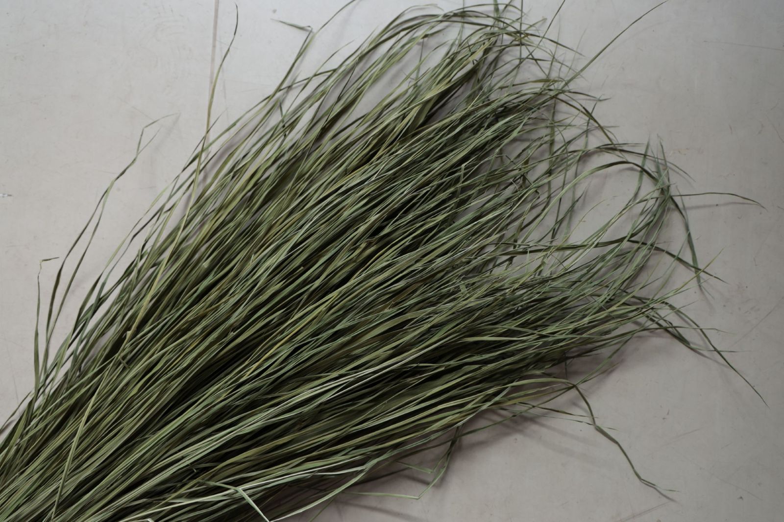 ���Ĥ�顦�¤Ȥ餺��HS�����ס�