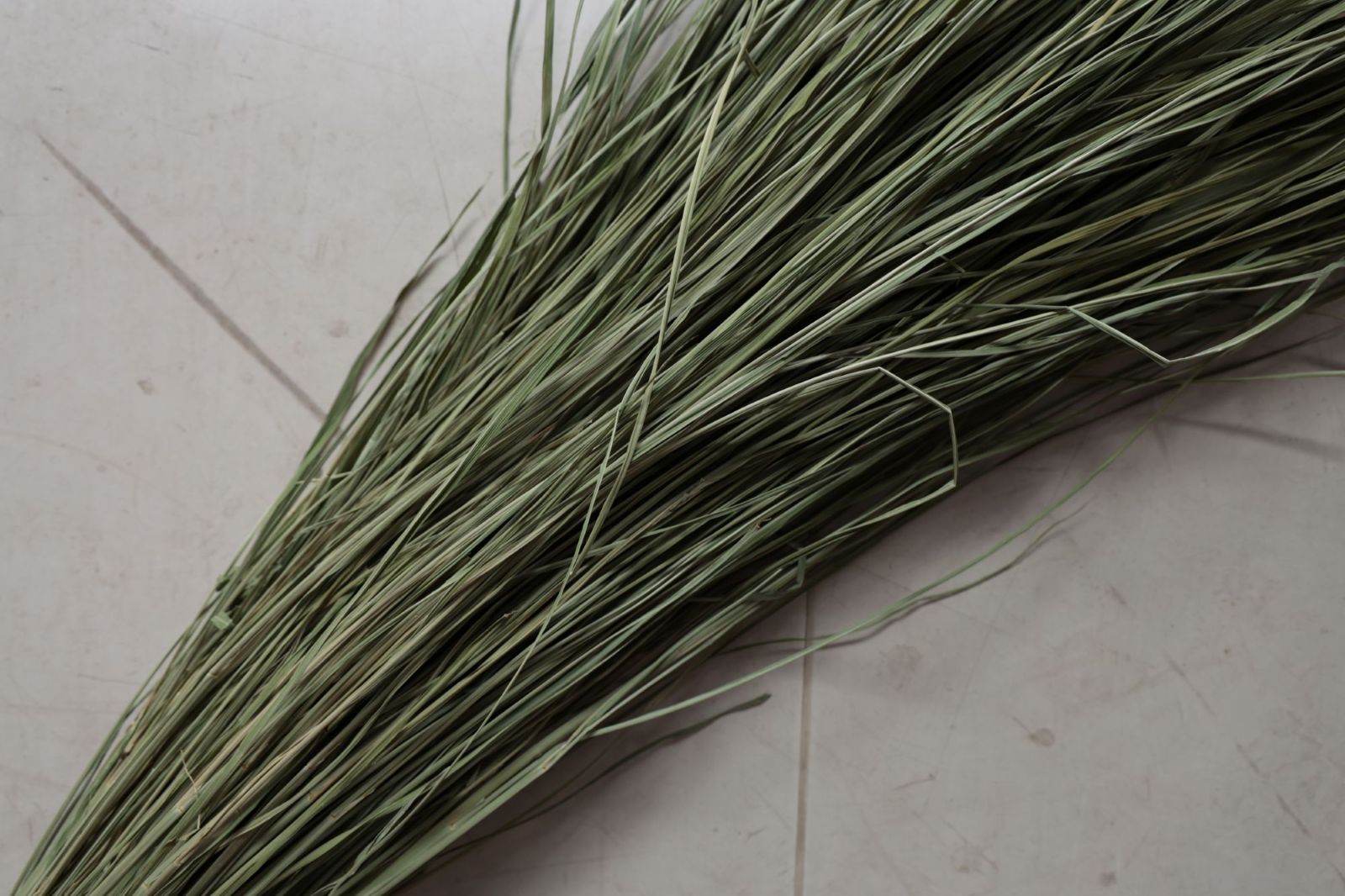 ���Ĥ�顦�¤Ȥ餺��HS�����ס�