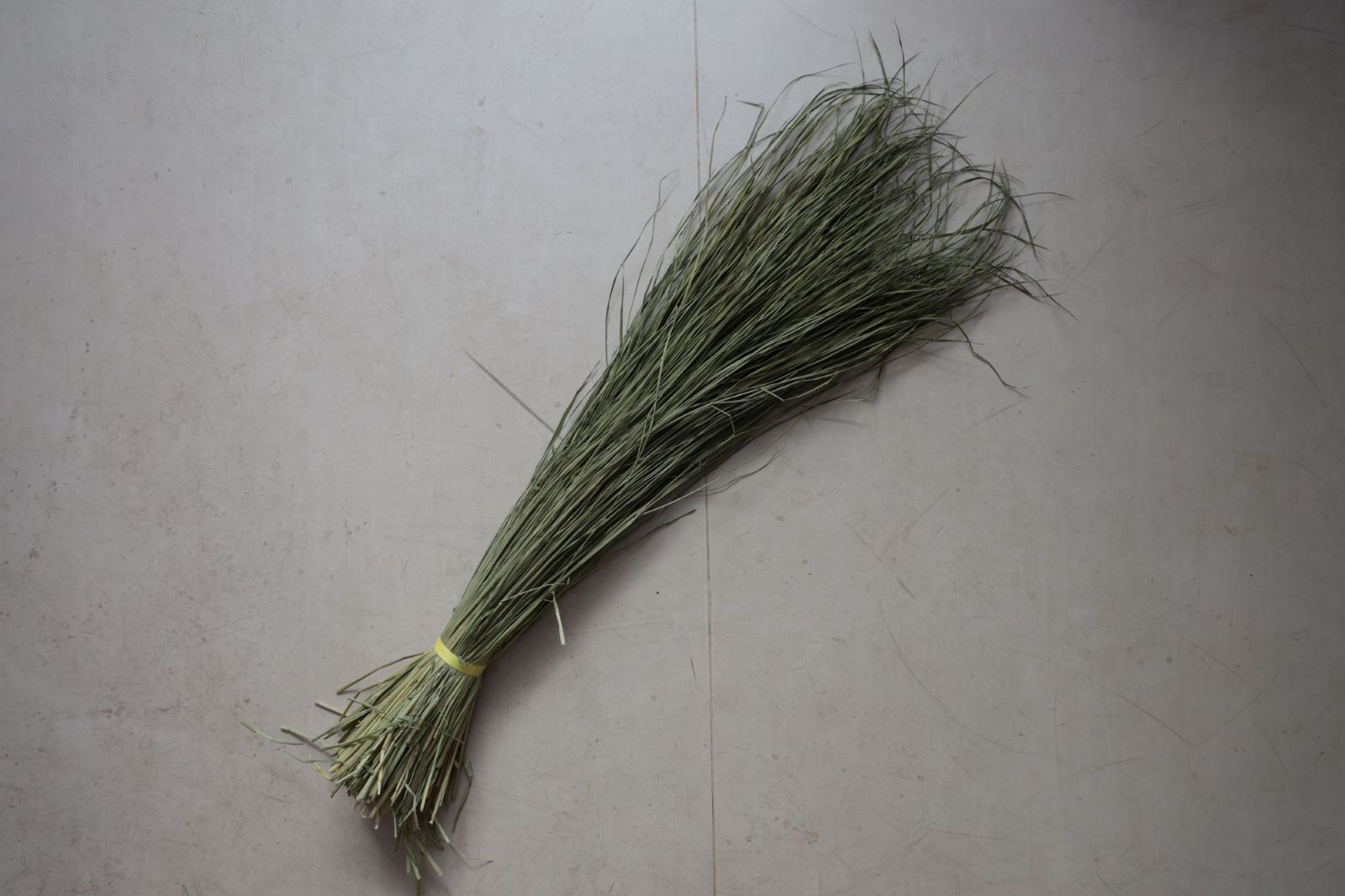 ���Ĥ�顦�¤Ȥ餺��HS�����ס�