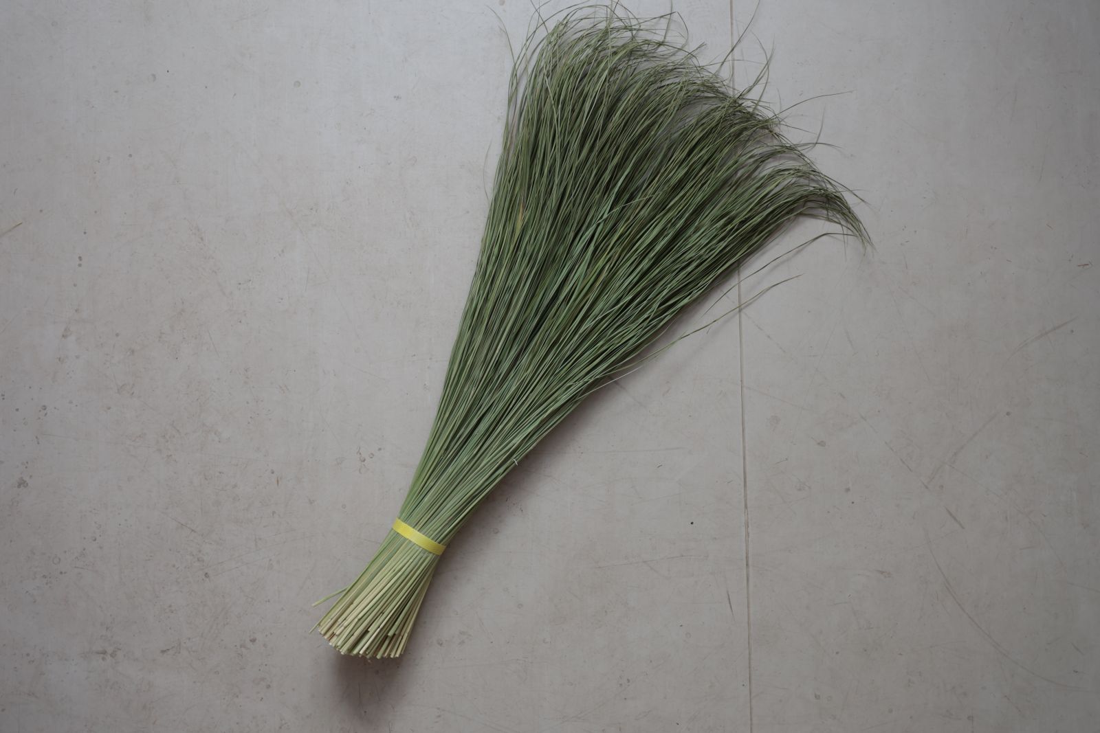 ���Ĥ�顦�¤Ȥ餺��H�����ס�