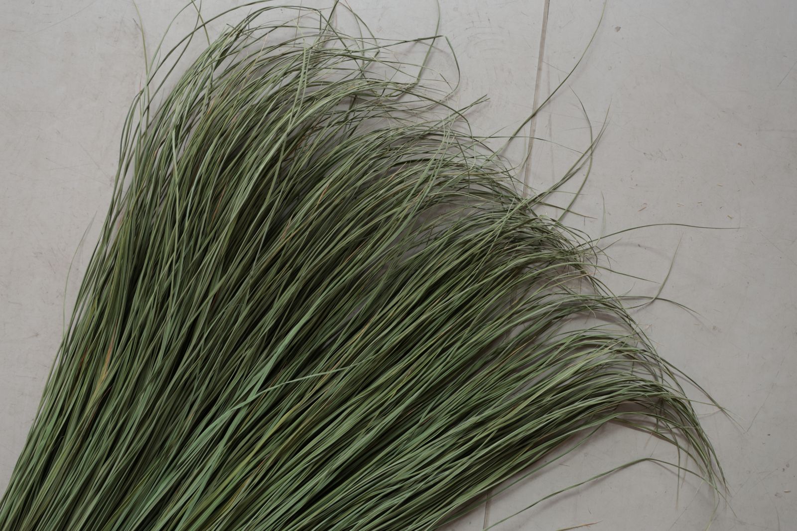 ���Ĥ�顦�¤Ȥ餺��H�����ס�