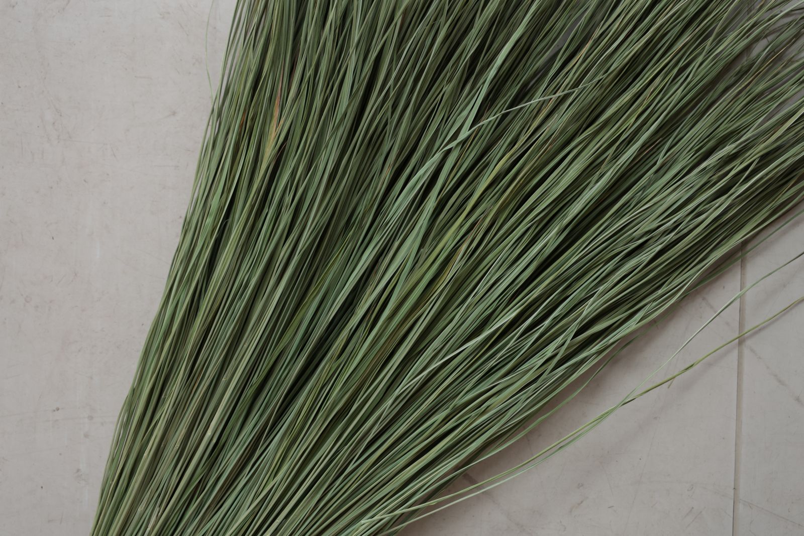 ���Ĥ�顦�¤Ȥ餺��H�����ס�