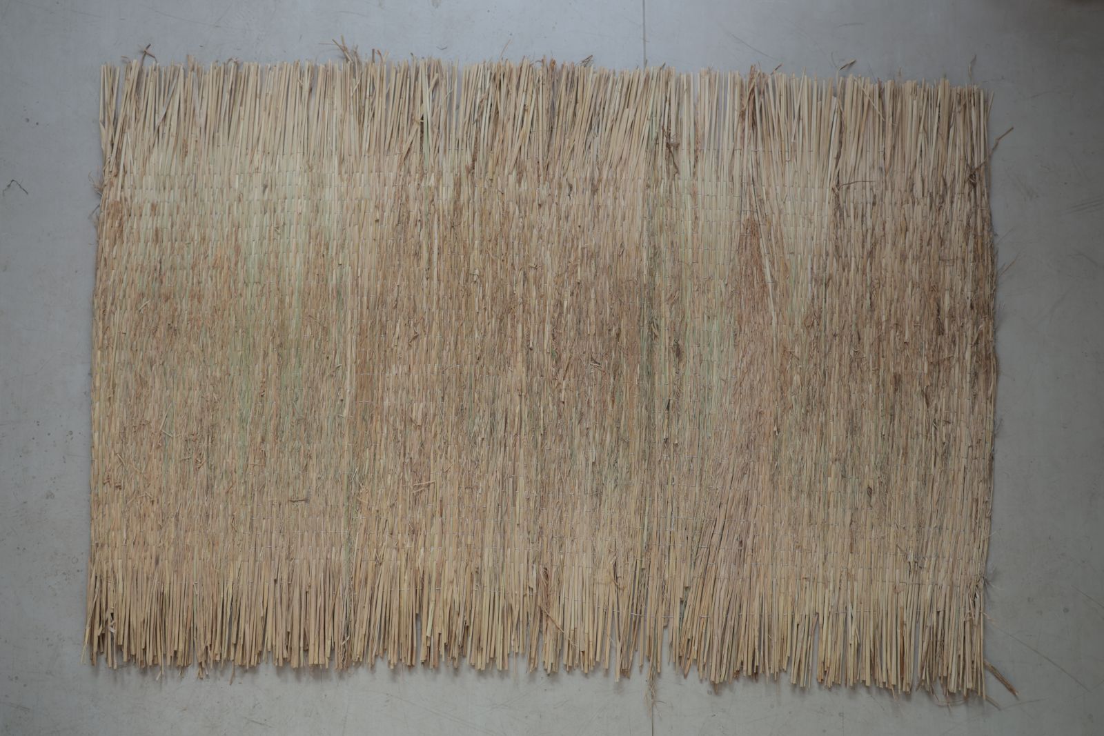 �񻺤ष�����羾��