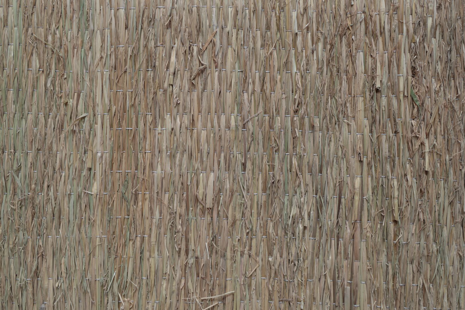 �񻺤ष�����羾��