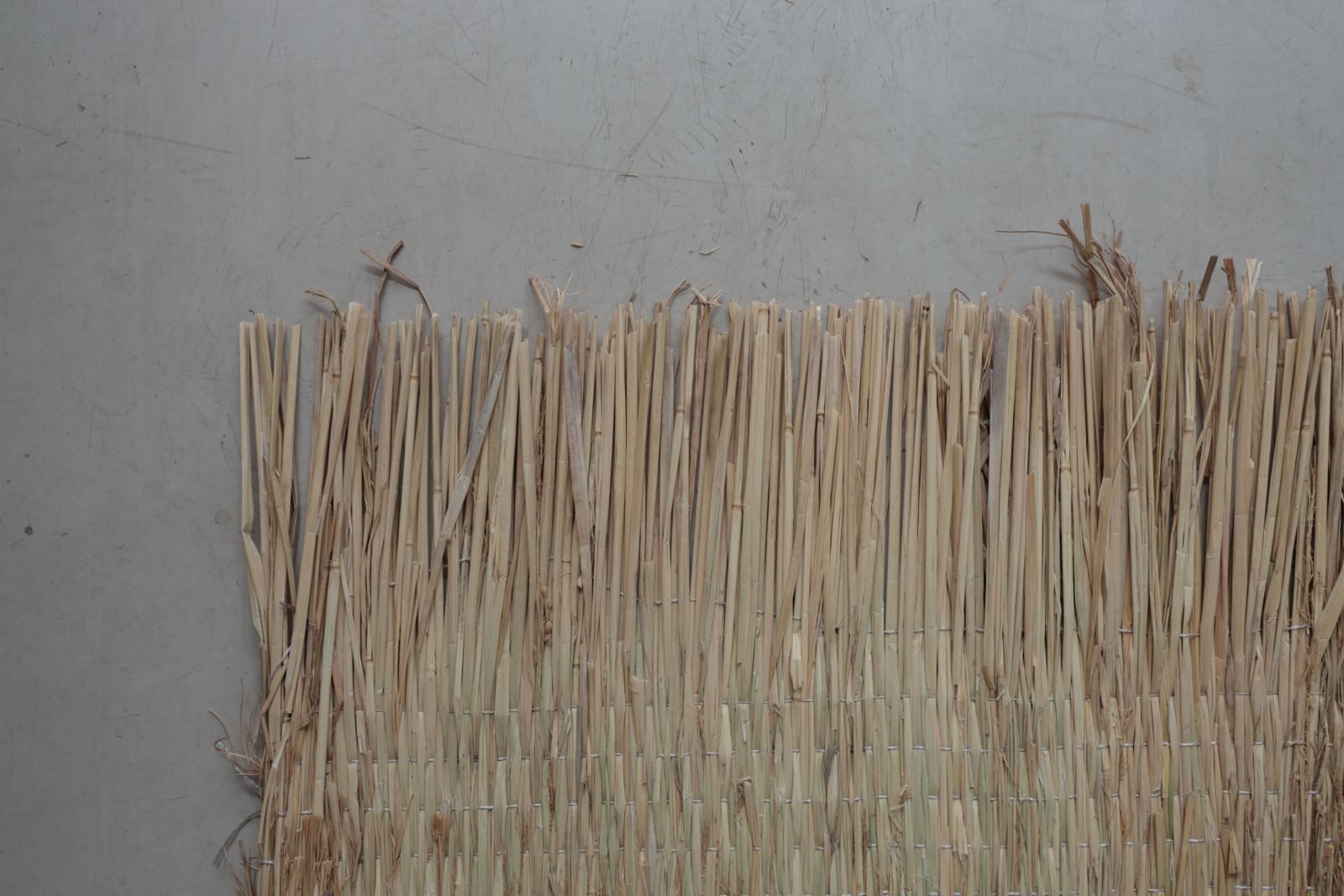 �񻺤ष�����羾��