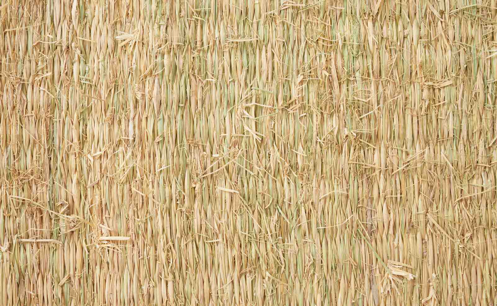 �񻺤ष�����˸�������