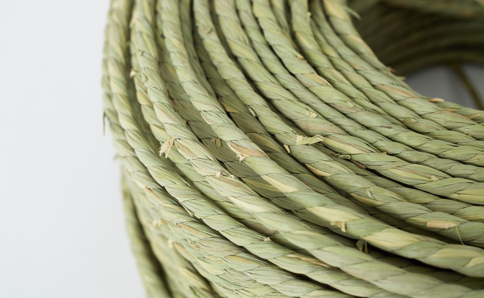 �񻺤����졡����