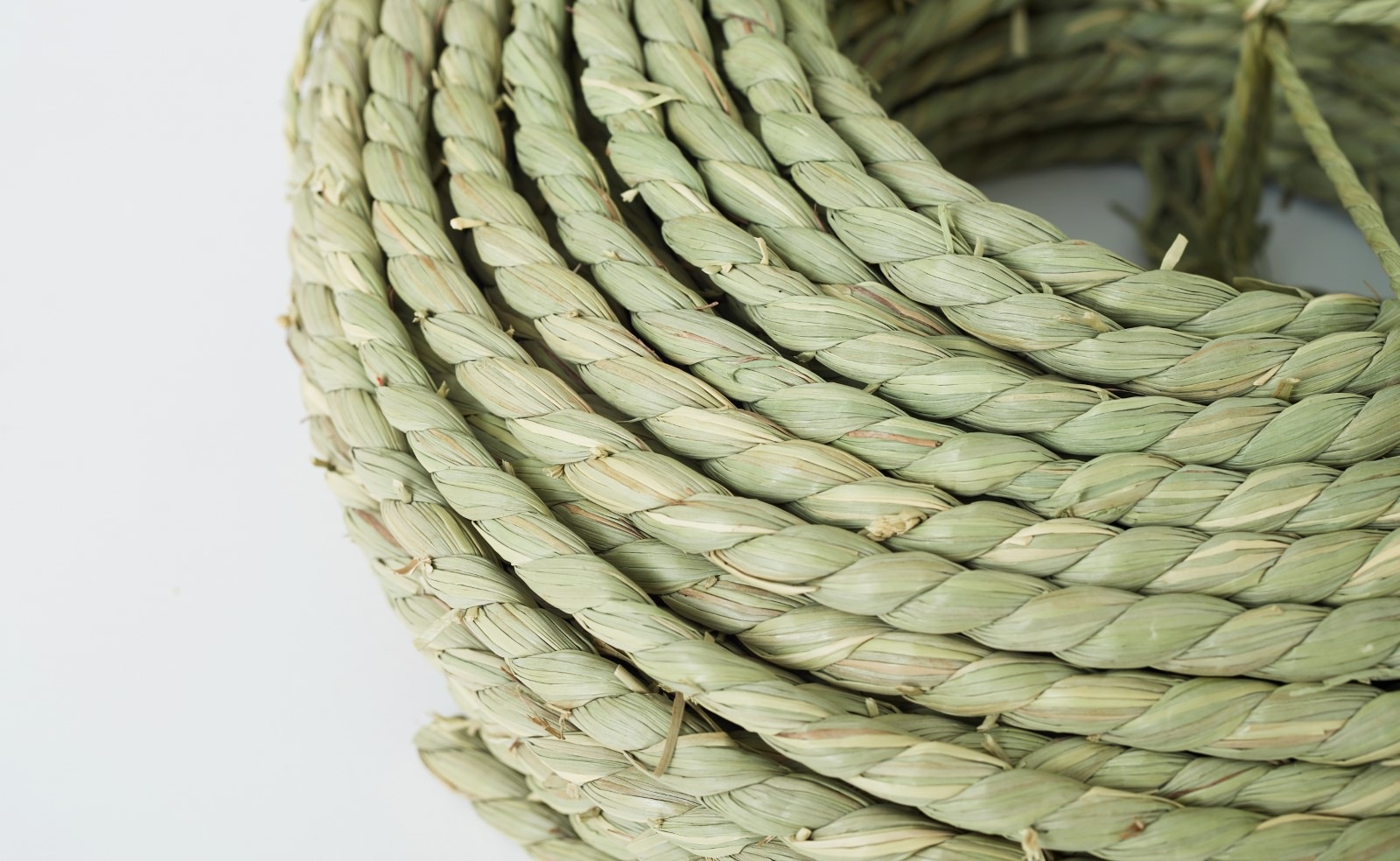 �񻺤����졡����