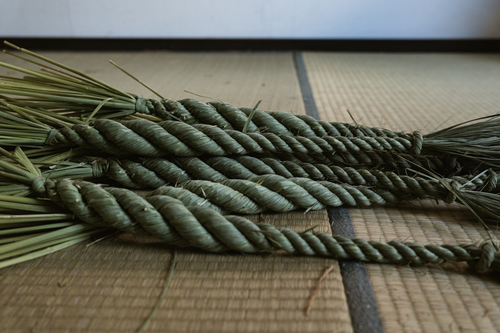 ������shizuku��