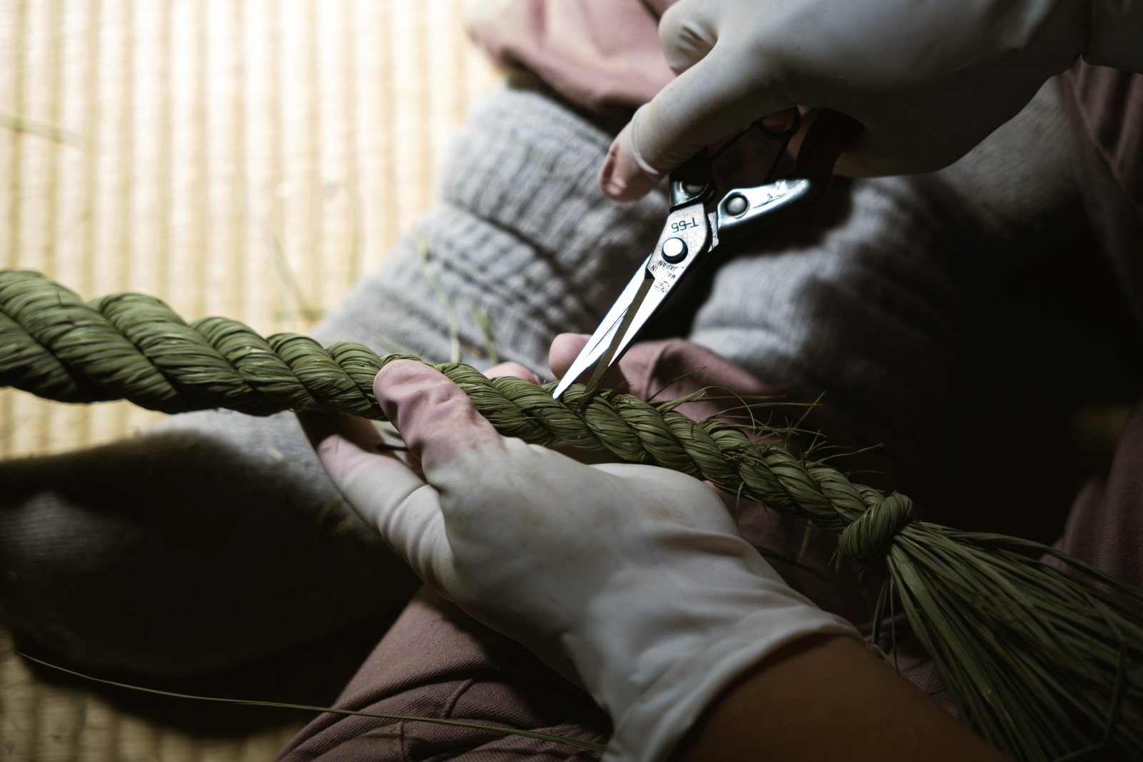 ������shizuku��