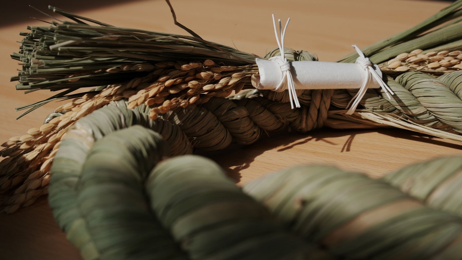 �桡��mon��