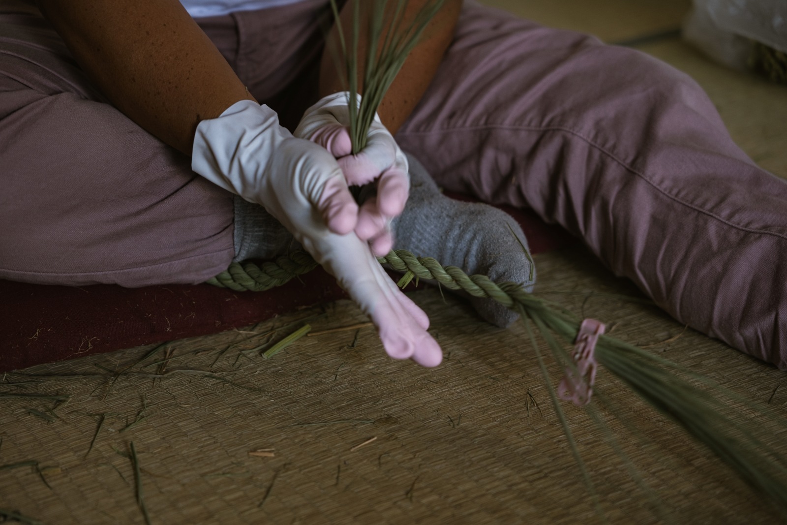 �桡��mon��