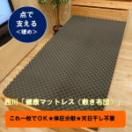 西川の点で支える「健康マットレス」シングル★凸凹構造★天日干し不要