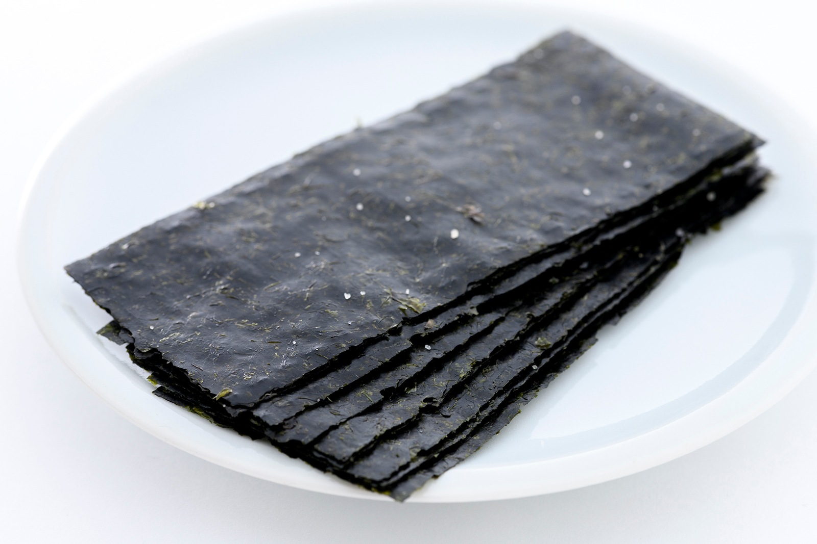 越前塩使用「塩のり」(恐竜パッケージ)