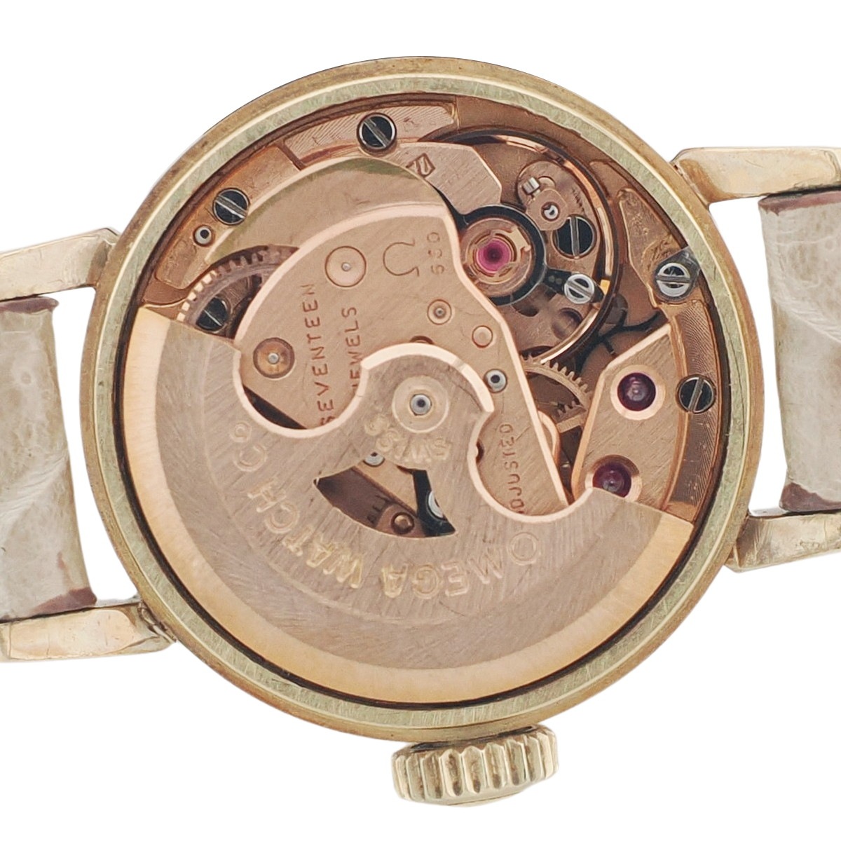 ジャングルジャングルサカイ石津店】MECCANICA GREZZA メカニカ