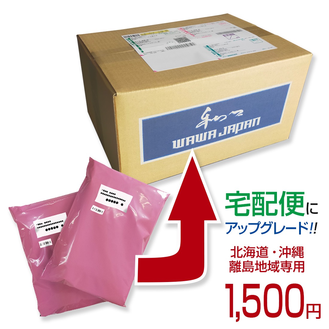 �����إ��åץ��졼�� �ڢ������褬�̳�ƻ�����졦Υ���������� ����Ź�᡼�����������ʤȰ��ˤ���������������