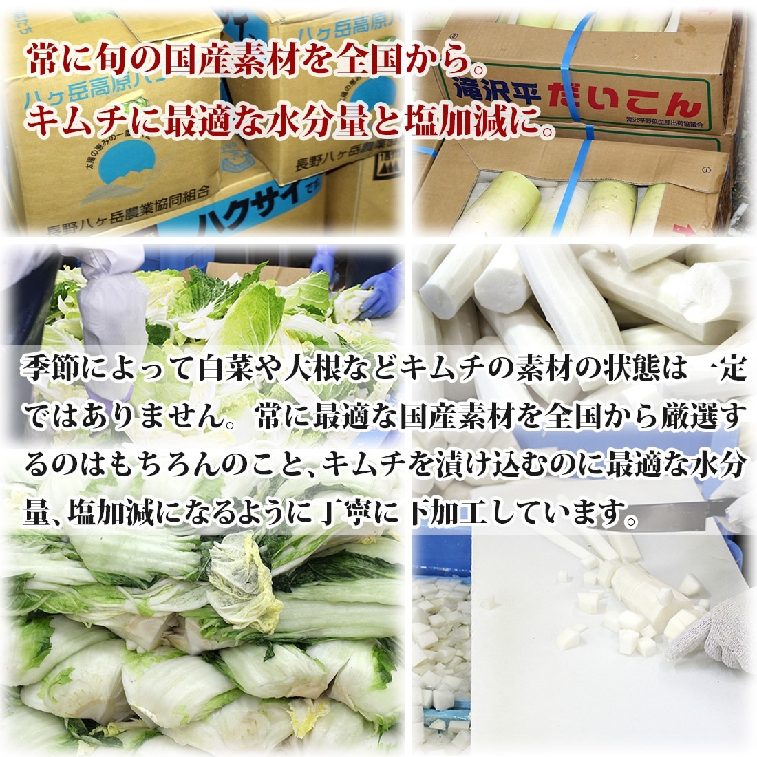 �纬����� 1kg �ܳ� ����� ����ʪ �� ������ ȯ�� ȯ�ڿ��� ����ȯ�� ���ե� ���ӤΤ��� �ڹ� ��ɻ� ������� ���Ҥ� ���ɤ� �������� �����ƥ� ������̵��(�̳�ƻ����������)��