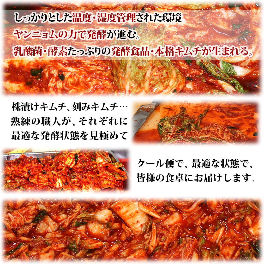 �ձ������ 1kg �ܳ� ����� ����ʪ �� ������ ȯ�� ȯ�ڿ��� ����ȯ�� ���ե� ���ӤΤ��� �ڹ� ��ɻ� ������� ���Ҥ� ���ɤ� ���夦�� ��������� ������̵��(�̳�ƻ����������)��