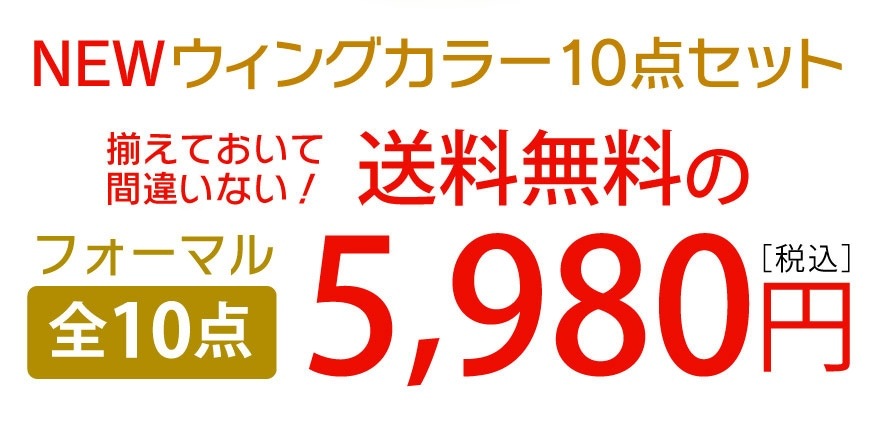 �����󥰥��顼����� 10�����å� �ե����ޥ� �֥饤���� ����� �뺧���� ���������� �⡼�˥� ��Ϻ���� ��ξ�� �⡼�˥󥰤ˤ��б� ����̵��