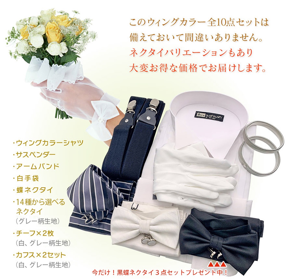 �����󥰥��顼����� 10�����å� �ե����ޥ� �֥饤���� ����� �뺧���� ���������� �⡼�˥� ��Ϻ���� ��ξ�� �⡼�˥󥰤ˤ��б� ����̵��