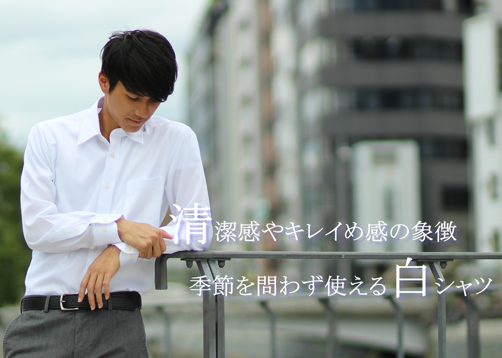 Ĺµ ��̵�� 3�祻�å� ��� �磻����� �쥮��顼���顼 �ܥ�������� 4���फ�����٤� ����������� �ե����ޥ� ���� �򥷥�� ���ְ��� ����̵�� 