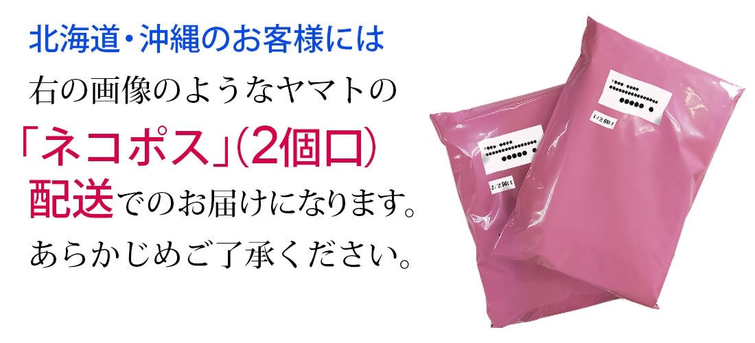 Ⱦµ 4祻å å  ɥӡ  磻 ܥ ɥ ְ Y ӥͥ ۥ磻 12 6  ɸ M L LL 3L ٤ HC&HP4祻å ̵ 