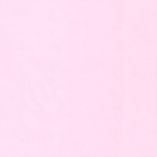 �ͥ����� ��åԥ� �����ӥ� ���ե� �ץ쥼���  £��ʪ ���դε����� ���ˤ� ����� ��� �֥饤���� �뺧��