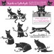 �ͤ� ���饹�� T����� Ⱦµ �ͥ� neko �ˤ�� t����� cat CAT DTF DTF�ץ��� ����OK ���� ���åȥ� ������� �ۥ磻�� �֥�å� �֥롼 �ԥ� �ץ쥼��� ���ץ饤�� ��� ��ǥ����� S M L XL LL 2XL ���� ���� �᡼���� ����̵��