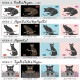 �ͤ� ���饹�� T����� Ⱦµ �ͥ� neko �ˤ�� t����� cat CAT DTF DTF�ץ��� ����OK ���� ���åȥ� ������� �ۥ磻�� �֥�å� �֥롼 �ԥ� �ץ쥼��� ���ץ饤�� ��� ��ǥ����� S M L XL LL 2XL ���� ���� �᡼���� ����̵��