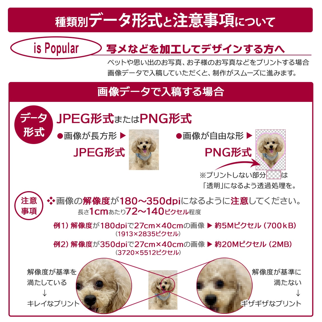��ͳ�˥ץ��� T����� ���������ᥤ�� �ɥ饤 glimmer 00300-ACT ���̥ץ��� �Хå��ץ��� ����¦���� ���顼T����� ���饹 ���� ������ ���٥�� �ǥ����� �̿� �������� ̾���� ��� ��ǥ����� �䤷 �䤷�� �䤷�λ� �䤷�襰�å� ���祰�å� ����̵��