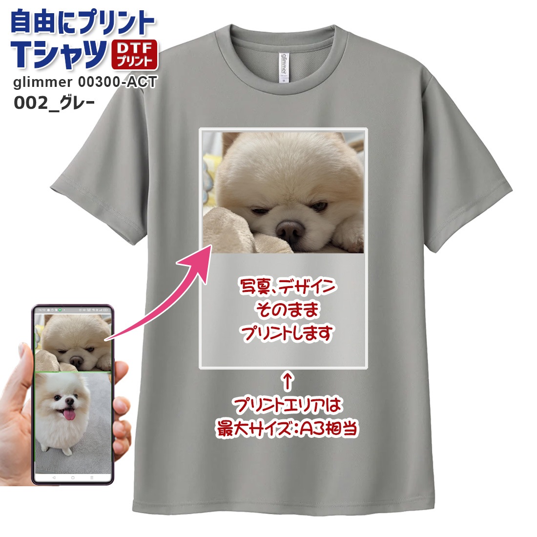 ��ͳ�˥ץ��� T����� ���������ᥤ�� �ɥ饤 glimmer 00300-ACT ���̥ץ��� �Хå��ץ��� ����¦���� ���顼T����� ���饹 ���� ������ ���٥�� �ǥ����� �̿� �������� ̾���� ��� ��ǥ����� �䤷 �䤷�� �䤷�λ� �䤷�襰�å� ���祰�å� ����̵��