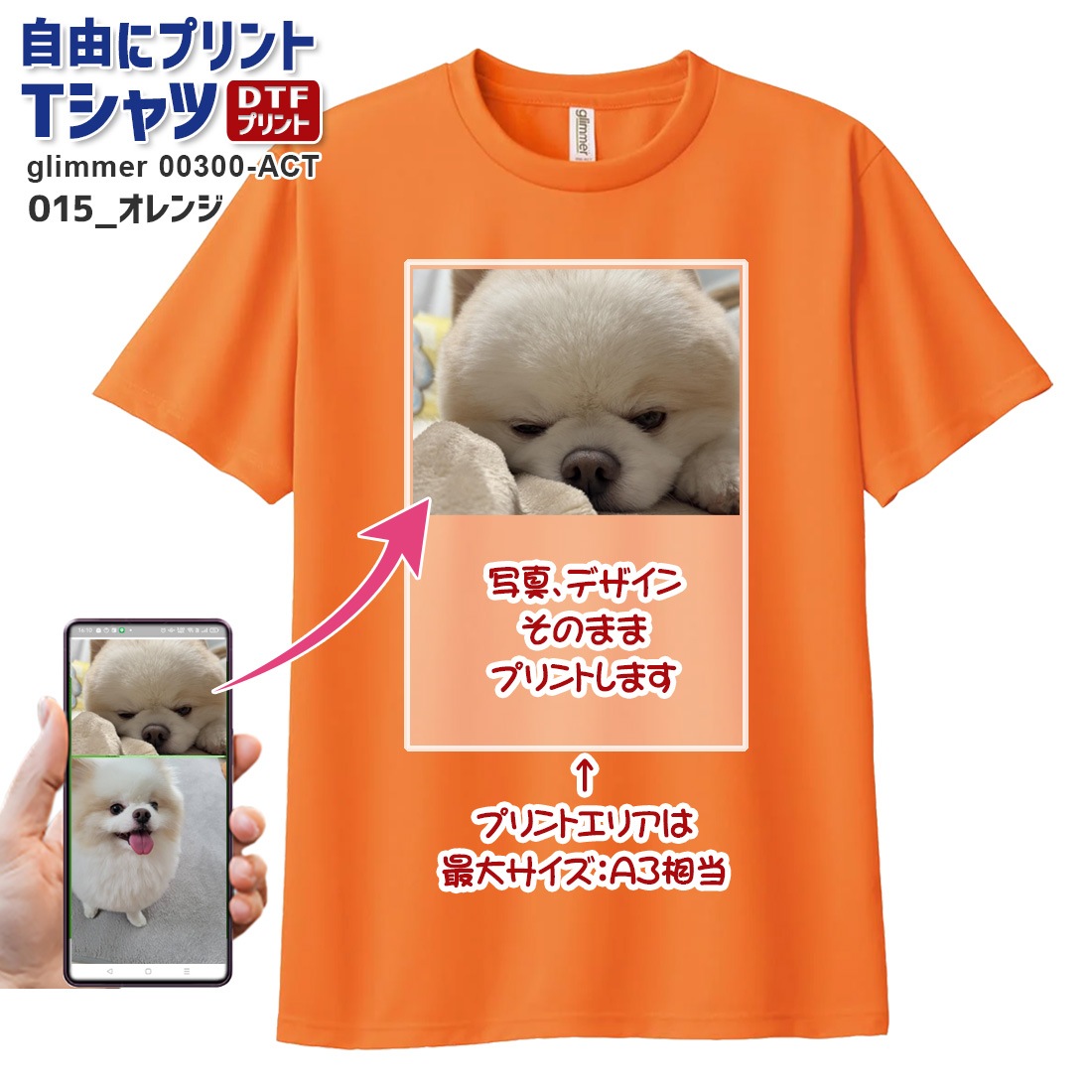 ��ͳ�˥ץ��� T����� ���������ᥤ�� �ɥ饤 glimmer 00300-ACT ���̥ץ��� �Хå��ץ��� ����¦���� ���顼T����� ���饹 ���� ������ ���٥�� �ǥ����� �̿� �������� ̾���� ��� ��ǥ����� �䤷 �䤷�� �䤷�λ� �䤷�襰�å� ���祰�å� ����̵��