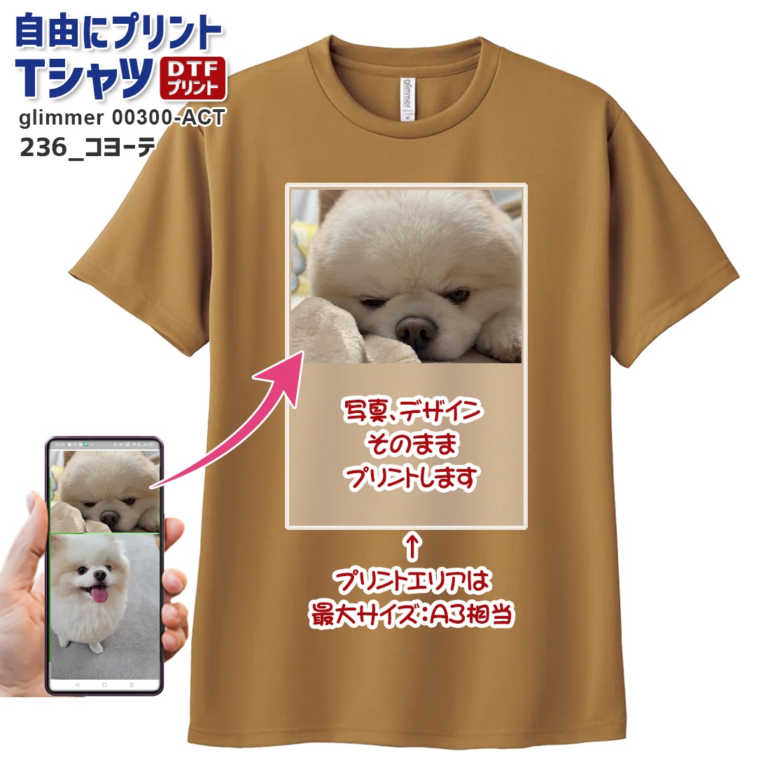 ��ͳ�˥ץ��� T����� ���������ᥤ�� �ɥ饤 glimmer 00300-ACT ���̥ץ��� �Хå��ץ��� ����¦���� ���顼T����� ���饹 ���� ������ ���٥�� �ǥ����� �̿� �������� ̾���� ��� ��ǥ����� �䤷 �䤷�� �䤷�λ� �䤷�襰�å� ���祰�å� ����̵��