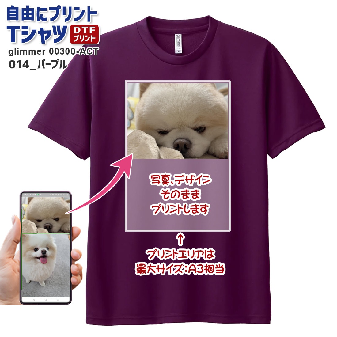 ��ͳ�˥ץ��� T����� ���������ᥤ�� �ɥ饤 glimmer 00300-ACT ���̥ץ��� �Хå��ץ��� ����¦���� ���顼T����� ���饹 ���� ������ ���٥�� �ǥ����� �̿� �������� ̾���� ��� ��ǥ����� �䤷 �䤷�� �䤷�λ� �䤷�襰�å� ���祰�å� ����̵��