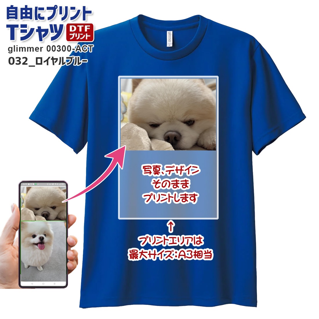��ͳ�˥ץ��� T����� ���������ᥤ�� �ɥ饤 glimmer 00300-ACT ���̥ץ��� �Хå��ץ��� ����¦���� ���顼T����� ���饹 ���� ������ ���٥�� �ǥ����� �̿� �������� ̾���� ��� ��ǥ����� �䤷 �䤷�� �䤷�λ� �䤷�襰�å� ���祰�å� ����̵��