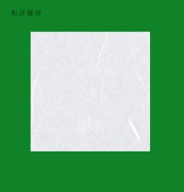 PETۡTH-2022ʱεˡ0.2