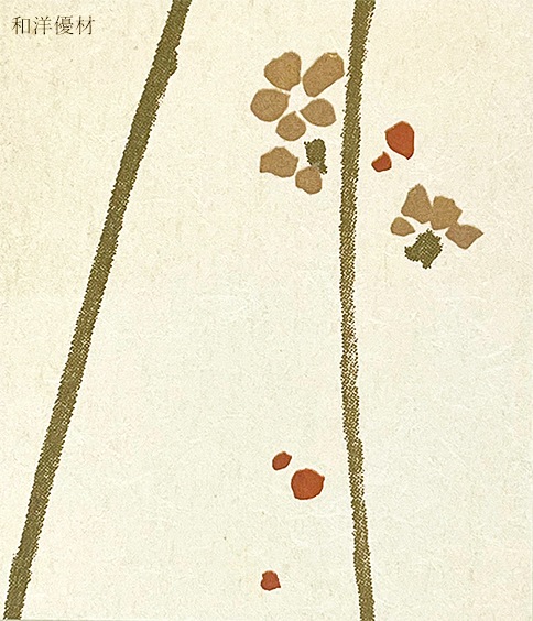�¡ʤ��餮��No.507